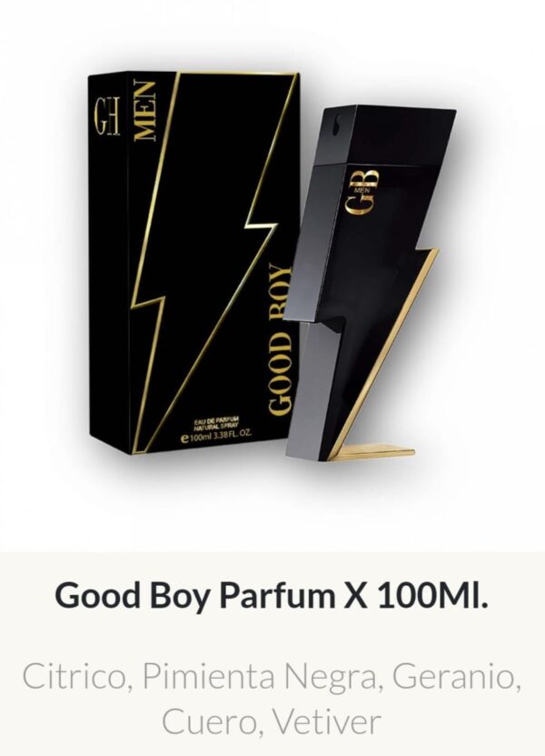 M61 Yves D'Orgeval Good Boy Parfums Masculino 100 ml Precios Por Mayor