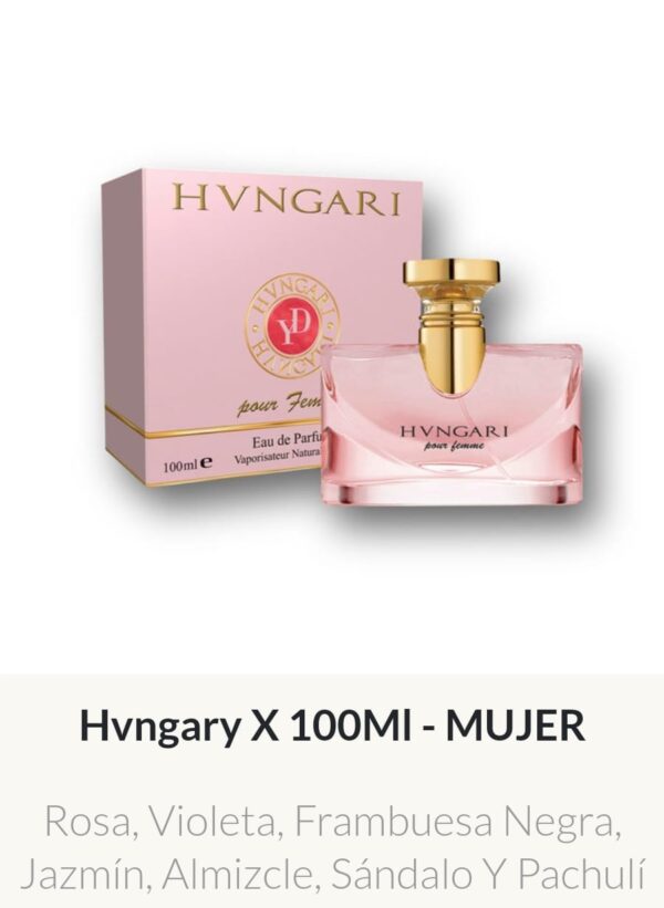 F19 Yves D'Orgeval Parfums Hvngary Femenino 100 ml Precios  Por Mayor