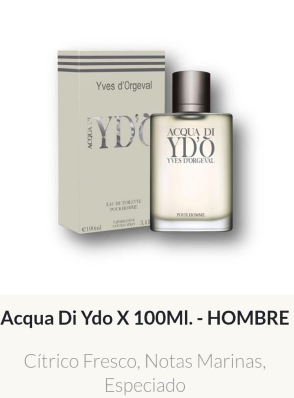 M21 Yves D'Orgeval Parfums Acqua D' Ydo Masculino 100 ml Precios Por Mayor