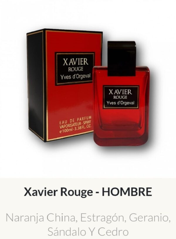 M56 Yves D'Orgeval Parfums Xavier Rouge Masculino  100 ml Precios Por Mayor