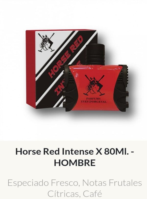 M07 Yves D'Orgeval Parfums Horse Red Intense Masculino 80 ml Precios Por Mayor