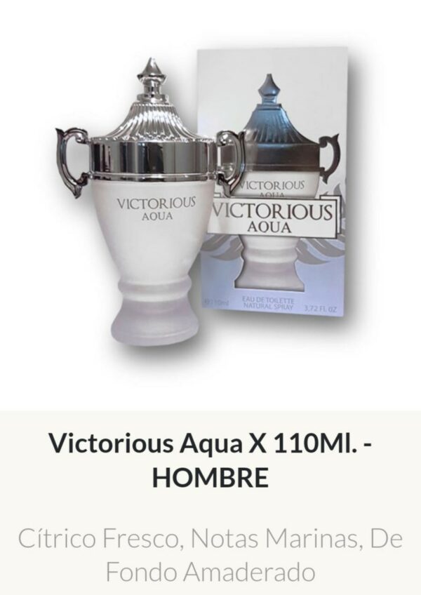 M36 Yves D´Orgeval Parfums Victorious Acqua Masculino 100 ml Precios  Por Mayor